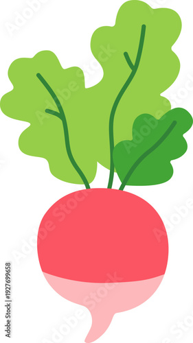 radish