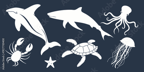 A diverse collection of marine life illustrations in white against a dark background Vector