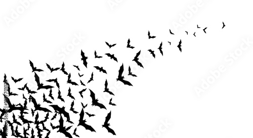 A large flock of black bats flying in a swirling pattern against a white background.