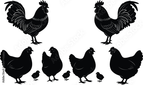 Chicken family silhouette set vector illustration, black roosters hens and chicks group for farm poultry agriculture Easter spring and rural designs