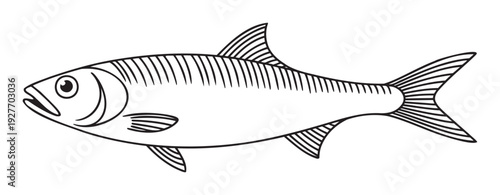 Simple graphic line drawing of a fish perfect for childrens educational materials, marine biology projects, or as a minimalist emblem for aquaculture businesses