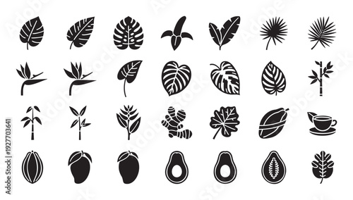 Tropical plants and exotic fruits collection featuring various jungle leaves, banana, avocado, papaya, and palm tree silhouettes for modern graphic design and web applications