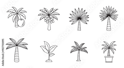 A collection of diverse palm tree outlines including coconut and date varieties, perfect for summer vacation graphics, island resort branding, and tropical themed designs