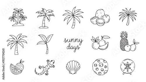 Hand drawn summer and tropical vacation icons with palm trees, coconuts, fruits, and sea elements perfect for travel brochures, beach party invitations, and holiday promotions