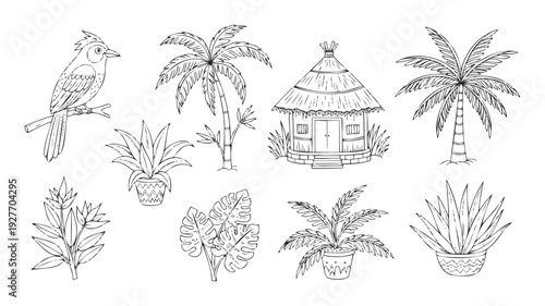 Tropical vacation themed outline drawings featuring exotic birds, swaying palm trees, a traditional thatched hut, and various potted plants for coloring books or travel promotions.