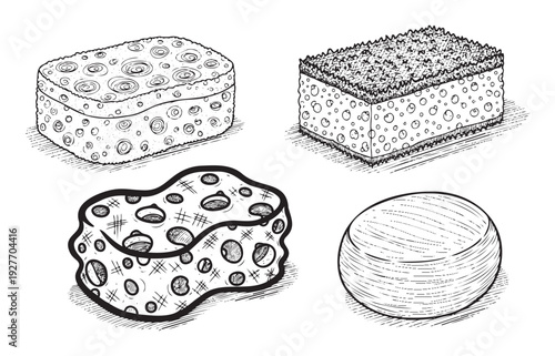 Collection of handdrawn sponges depicting various types for cleaning, bathing, and household tasks, ideal for packaging, home care websites, and educational materials about hygiene.