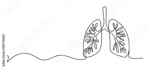 Minimalist continuous line drawing of human lungs with bronchi representing healthy breathing and the respiratory system for medical and wellness content
