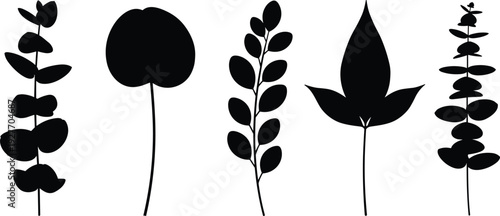 Eucalyptus leaves silhouette collection, organic floral elements set, botanical garden greenery, nature plant branch icons, flavector, decorative foliage for minimal design.