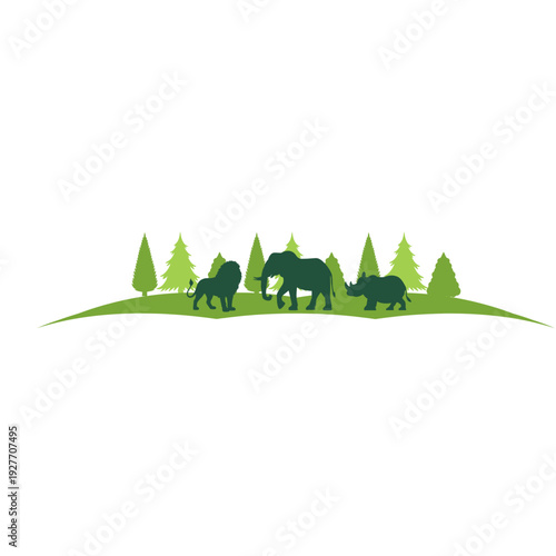 Photography Wild Animal Forest Silhouette