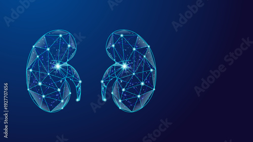 Digital Kidneys Low Poly Medical Network Healthcare Technology