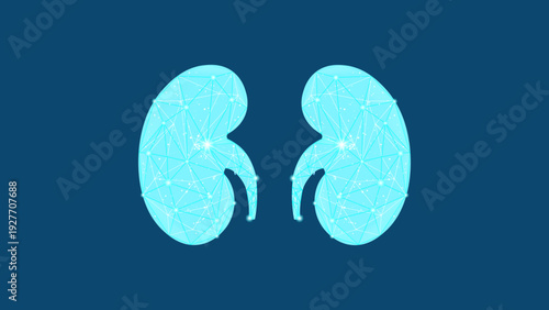 Human Kidneys Medical Low Poly Healthcare Organ Anatomy Vector Illustration