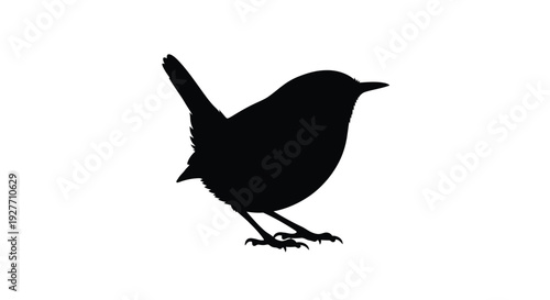 Silhouette of a small bird perched on a branch facing right