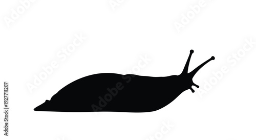 A simple black silhouette of a garden snail side view shown