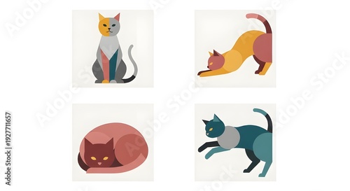 vector illustration of a cat