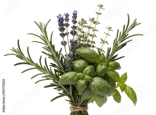 Aromatic Herb Bouquet: A vibrant bunch of culinary herbs, rosemary, lavender, thyme and basil, bound together, evoking freshness and the essence of cooking.