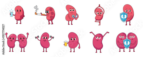 Cute Kidney Character