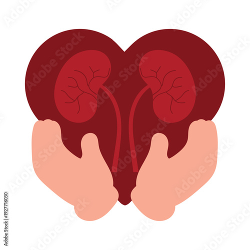 Kidney Health Care Illustration
