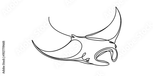 Simple line drawing of a manta ray swimming gracefully in the ocean on a white background. Vector, illustration