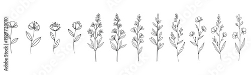 Minimalist black and white floral line art with various botanical designs