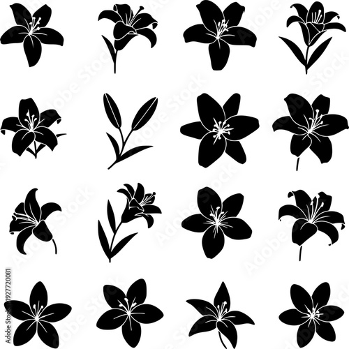 16 Premium Black Lily Icons - Wedding & Botanical Graphic Elements. Vector Illustration. Design Element. Clip art. Suitable for artwork design. Editable for any design.