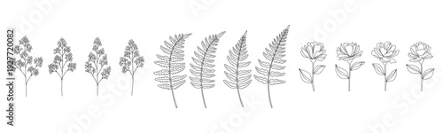 Line art of various plant species including lavender, ferns, and roses