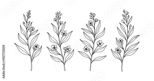Elegant black and white floral line art with delicate leaves and blossoms