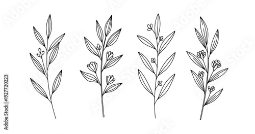 Minimalist botanical line art: delicate floral branch designs on white background