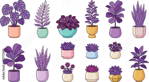 Purple indoor houseplant vector set with decorative potted plants for home interior floral decor and modern botanical design.