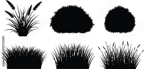 Grass and bush silhouette collection, black botanical shrub and meadow plants vector illustration isolated on white background