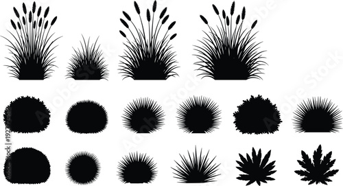 Grass and bush silhouettes collection, wild meadow plants and round shrubs isolated on white background, botanical flat vector illustration