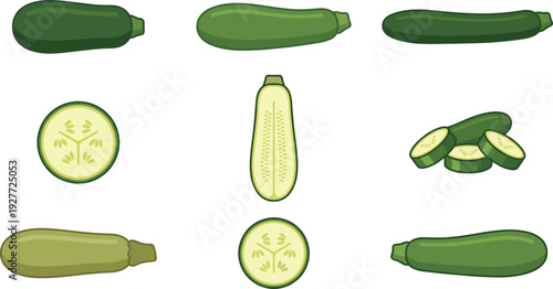 Zucchini vegetable set with whole sliced and half cut pieces fresh organic food collection for grocery design cooking recipes and healthy eating themes.