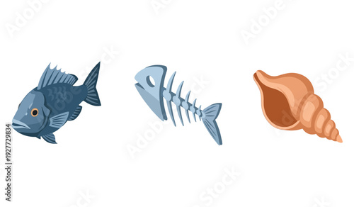 Stylized fish, skeleton, and shell icon set on white background