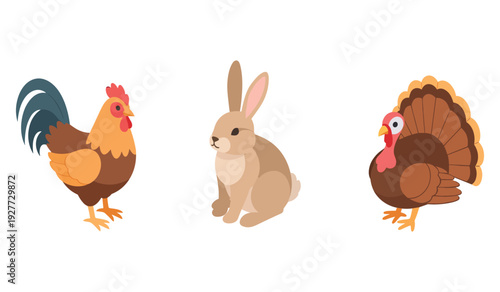 Chicken, rabbit, and turkey illustrations in cartoon style