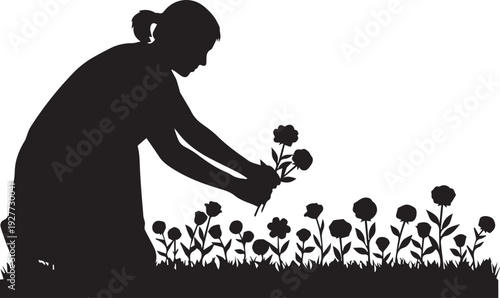 Woman silhouette kneeling picking flowers in garden vector illustration line art