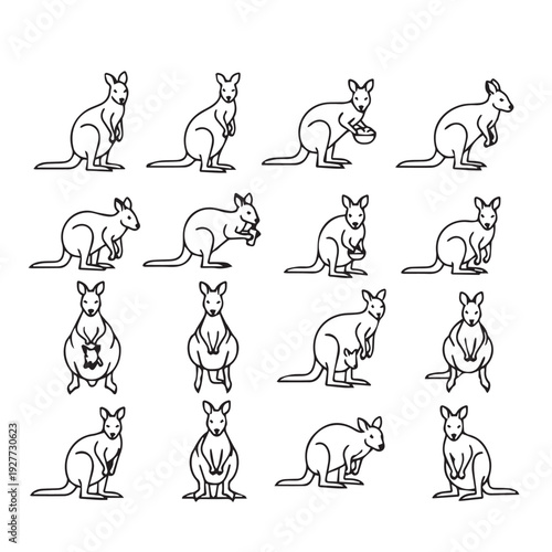 Collection of Kangaroo Illustrations in Various Poses Line Art Style
