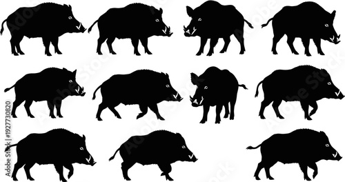 Wild boar silhouette set, hog vector collection, wildlife animal illustration, black silhouette design pack collectionWild boar silhouette set, hog vector 