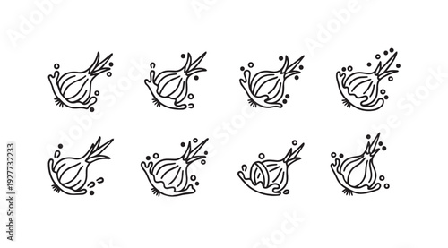 Onion Halves Splashing Water Line Art Icons Set