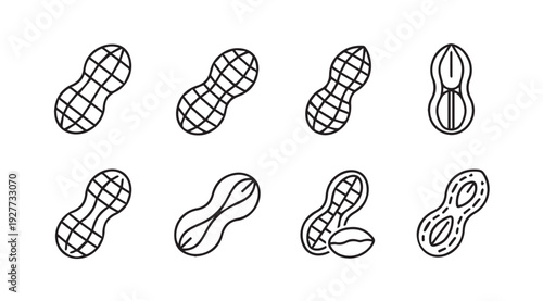 Peanut Icons Set Hand Drawn Style. Various Peanut Shell and Seed Designs. Vector Illustrations