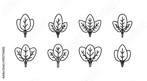 Spinach Leaves Icons Fresh Greens Vector Graphics Healthy Food Symbols Simple Line Art