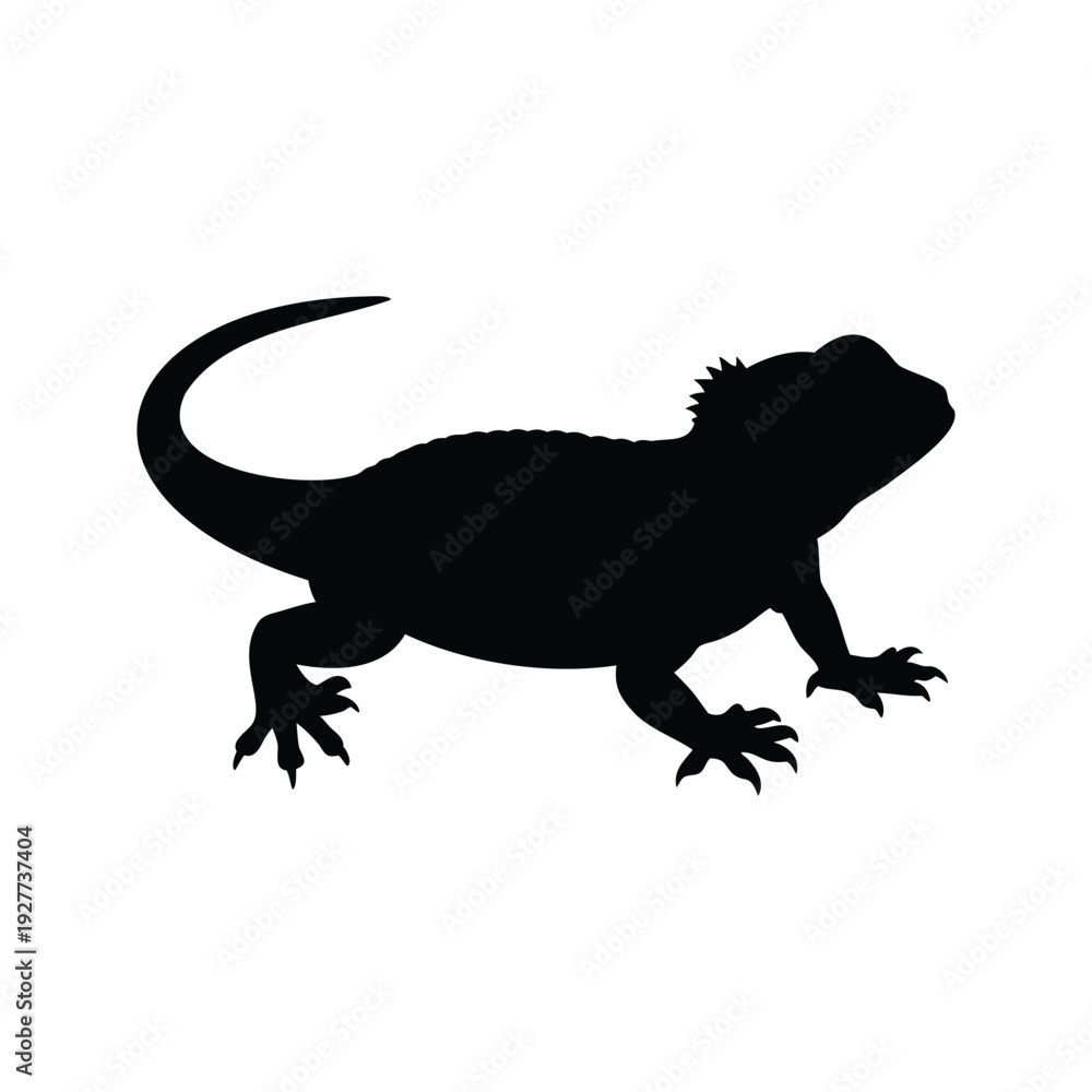Obraz premium tuatara silhouette vector illustration, A stylish black and white lizard silhouette vector illustration for modern animal design
