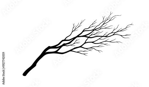 Minimalist Gnarled Tree Branch Silhouette Vector on White Background