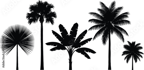 Tropical Palm Tree Silhouette Set with Coconut Banana and Exotic Island Plants for Summer Beach Landscape Nature and Travel Design Projects