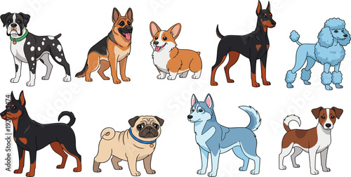 Different Dog Breeds Illustration Set with Cute Domestic Pet Characters Including Shepherd Corgi Husky Poodle and Terrier for Animal and Veterinary Designs