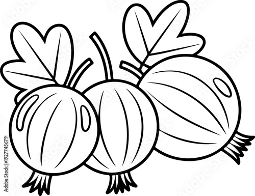 Hand drawn onion bunch coloring page for kids and adults, black and white line art, educational vegetable vector illustration