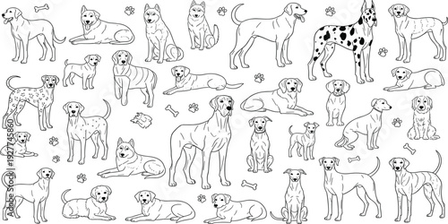 Hand Drawn Dog Breeds Outline Set with Various Puppy Poses and Cute Domestic Canine Characters for Pet Care Veterinary and Animal Design