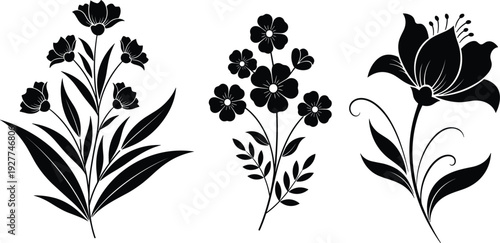 Set of Elegant Black Silhouette Flower Illustrations with Detailed Leaves and Stems for Minimalist Wedding Invitations Floral Branding and Decorative Botanical Design Projects