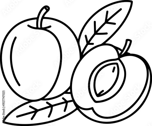 Apple and pear coloring page outline for kids, hand-drawn fruit sketch, educational activity vector illustration