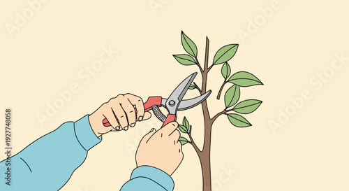 Hands hold red‑handled scissors pruning a green plant against a background in a cartoon illustration