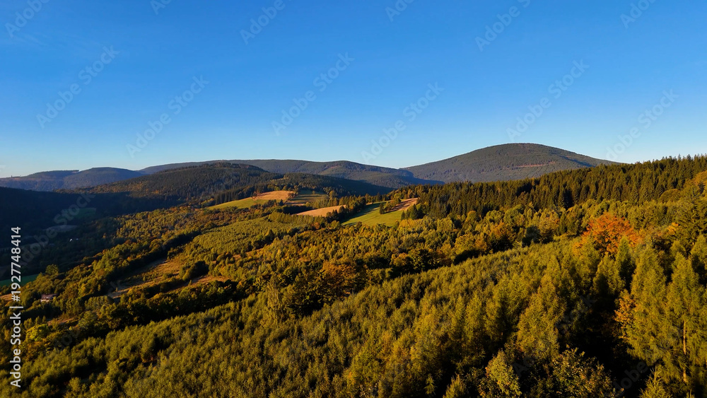 Obraz premium Aerial view of yellow aspen and green pine forests in early autumn in Colorado, USA. A picturesque autumn mountain landscape.