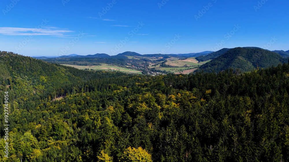 Obraz premium Lush green coniferous forest mountains creating a serene view of nature USA.